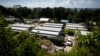 This Sept. 4, 2018, photo shows Nibok refugee settlement on Nauru. About 120 refugee children and teenagers are living on Nauru.