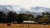 FILE - A cow grazes at a farm close to smoke rising from a bushfire near Toongabbie, Victoria state, Australia, Jan. 24, 2013.