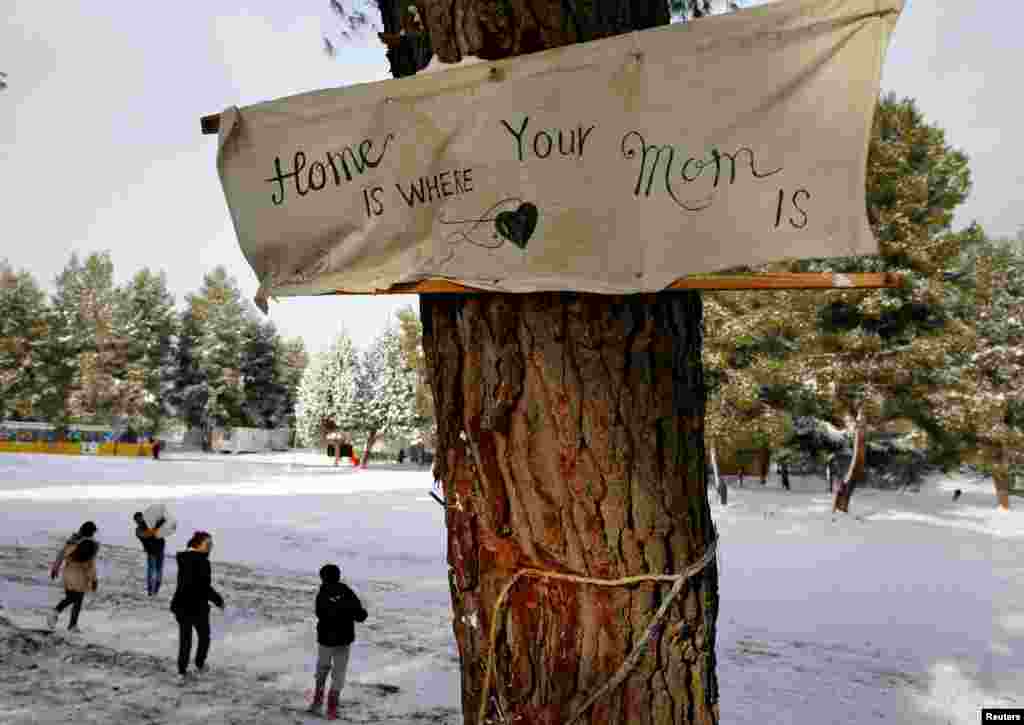 A banner that reads "Home is where your mom is" is attached to a tree at a refugee camp north of Athens, Greece, Jan. 10, 2017.