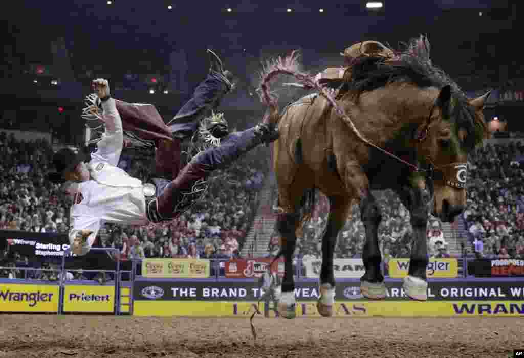 Sterling Crawley gets tossed of his horse while competing in the saddle bronc riding event during the final night of the National Finals Rodeo in Las Vagas, Nevada, USA, Dec. 10, 2016.