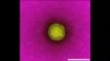 16x9 Image