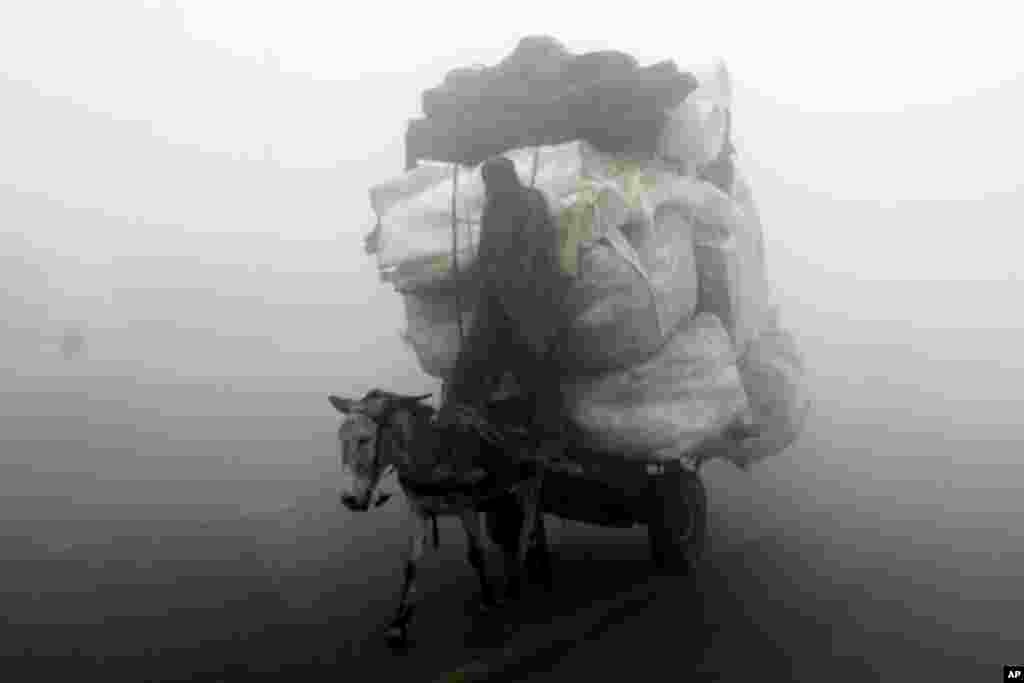 A man carries recyclable material on his donkey cart in Lahore, Pakistan.