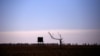 FILE - A dead tree stands near a water tank in a drought-stricken paddock located on the outskirts of the southwestern Queensland town of Cunnamulla in outback Australia, Aug. 10, 2017.