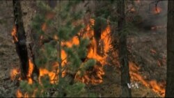 California Prepares for Major Fire Season