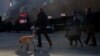 Patroli Anjing Endus Kebocoran Pipa Air di Prancis