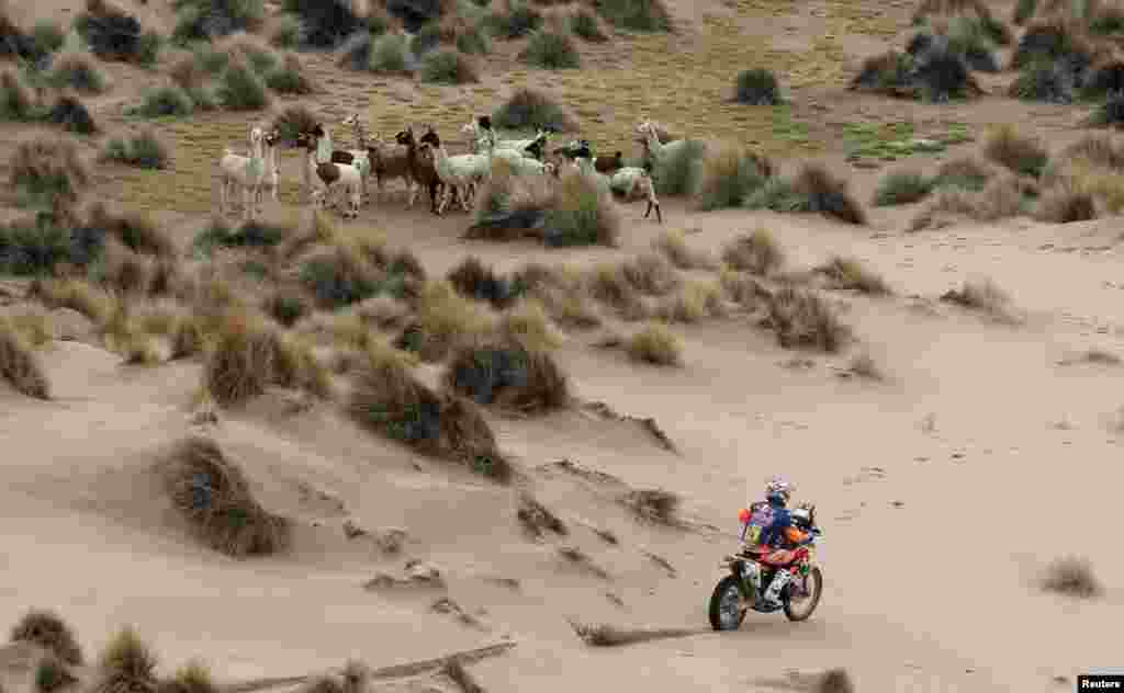 Britain's Sam Sunderland rides his KTM during the Stage 7 of the Dakar 2017 between La Paz and Uyuni, Bolivia, Jan. 9, 2017.