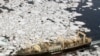 The Nisshin Maru trying to outrun the Steve Irwin by going through heavy ice