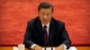 中共总书记习近平