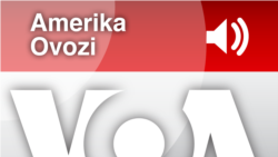 "Amerika Ovozi" xabarlari, 31-avgust, 2013