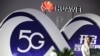 巴林不顾美国警告将使用华为5G设备