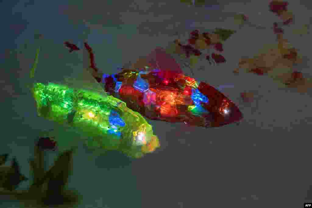Artificial Intelligence-based robot fish, known as MIRO (Marine Intelligent Robot) and developed by South Korean company AIRO, are seen swimming in a pool during a demonstration at the Advanced Content Technology Expo in Tokyo, Japan.