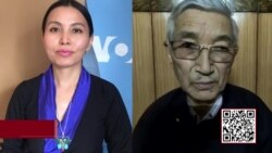 ཧི་མ་ལ་ཡའི་ནང་པའི་རིག་གཞུང་ཀུན་ཁྱབ་ཚིག་མཛོད།